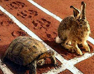 tortoise+and+hare